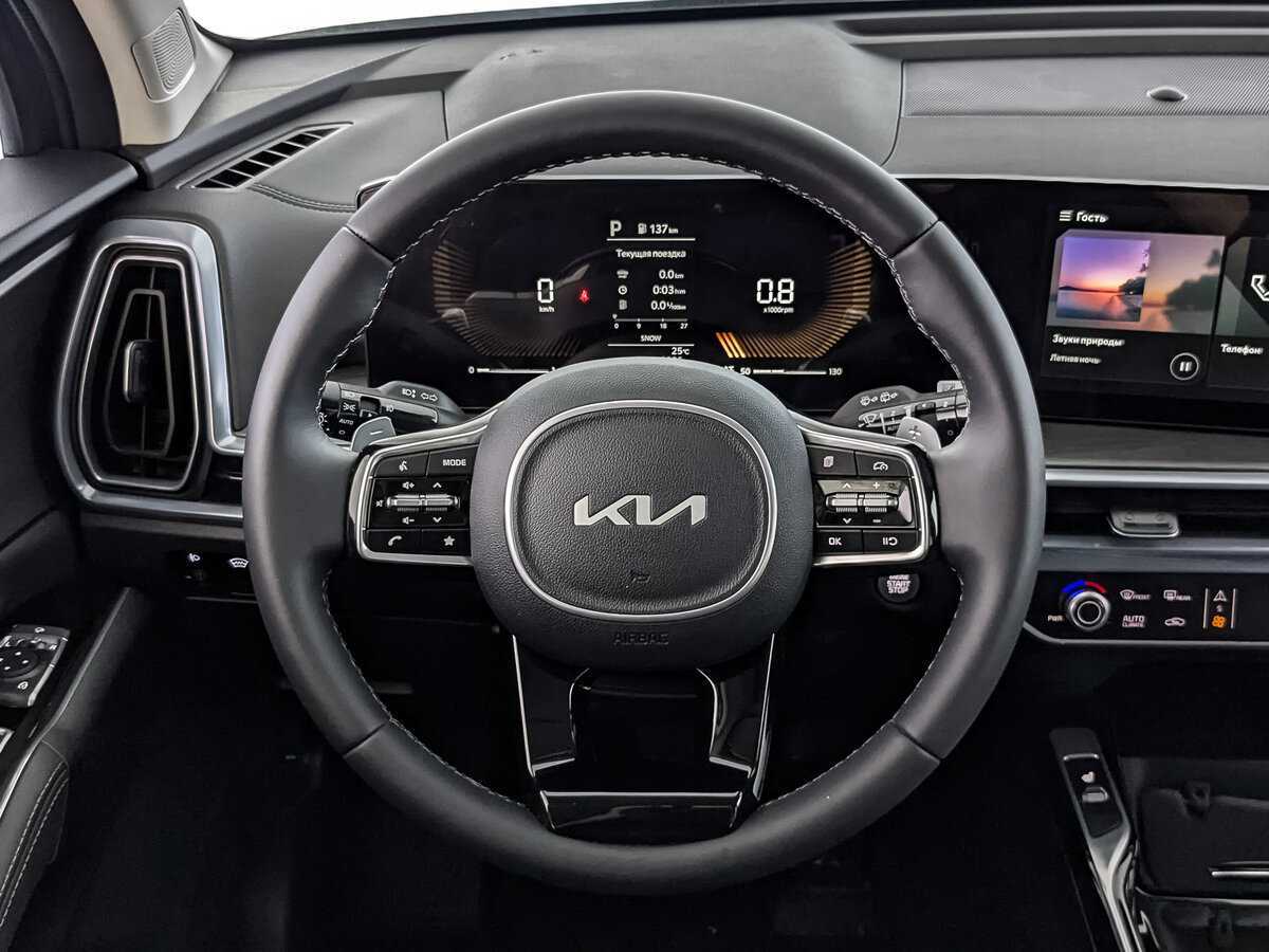 Kia Sorento, 2024 Фото №18