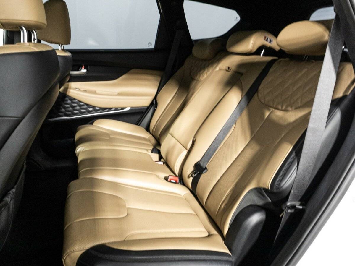 Hyundai Santa Fe, 2020 Фото №10