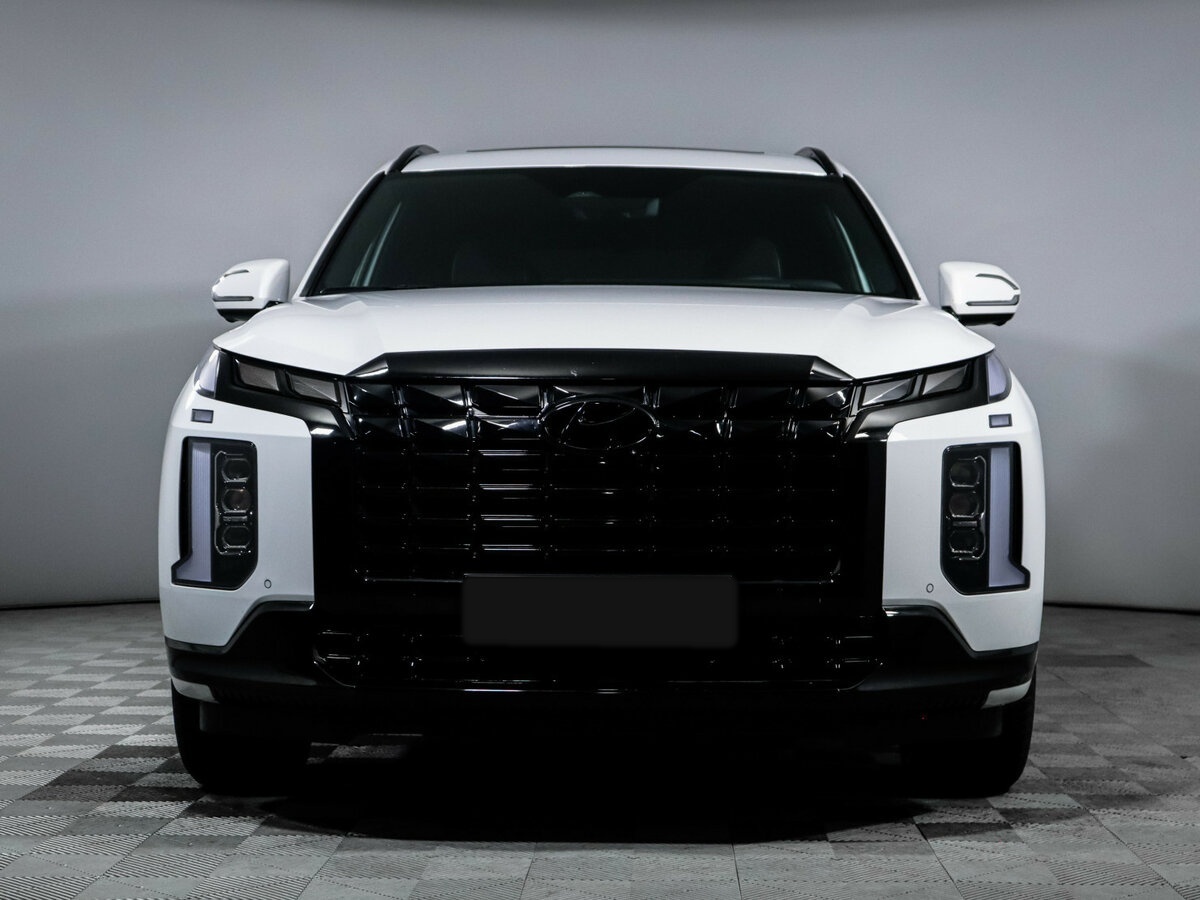 Hyundai Palisade I Рестайлинг, 2024 Фото №2